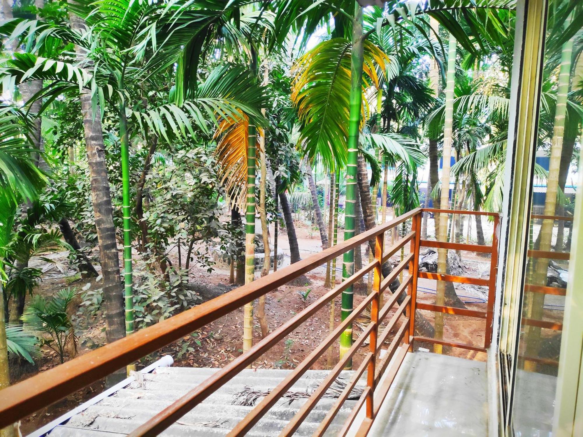 Ashish Baug Cottage Алибаг Номер фото